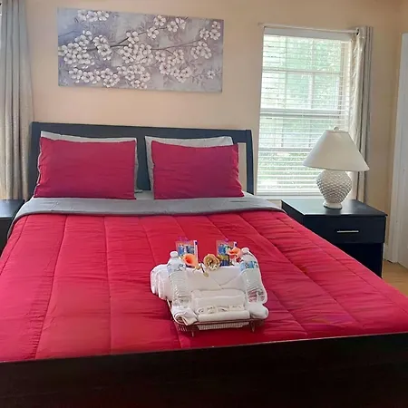 Room In House - Modern Executive Master Bedroom
